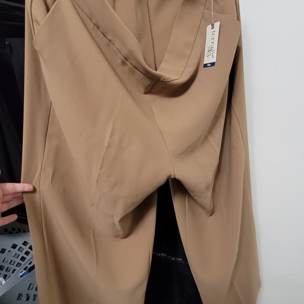 Terra & Sky Beige Cropped Relaxed Fit Dress Pants